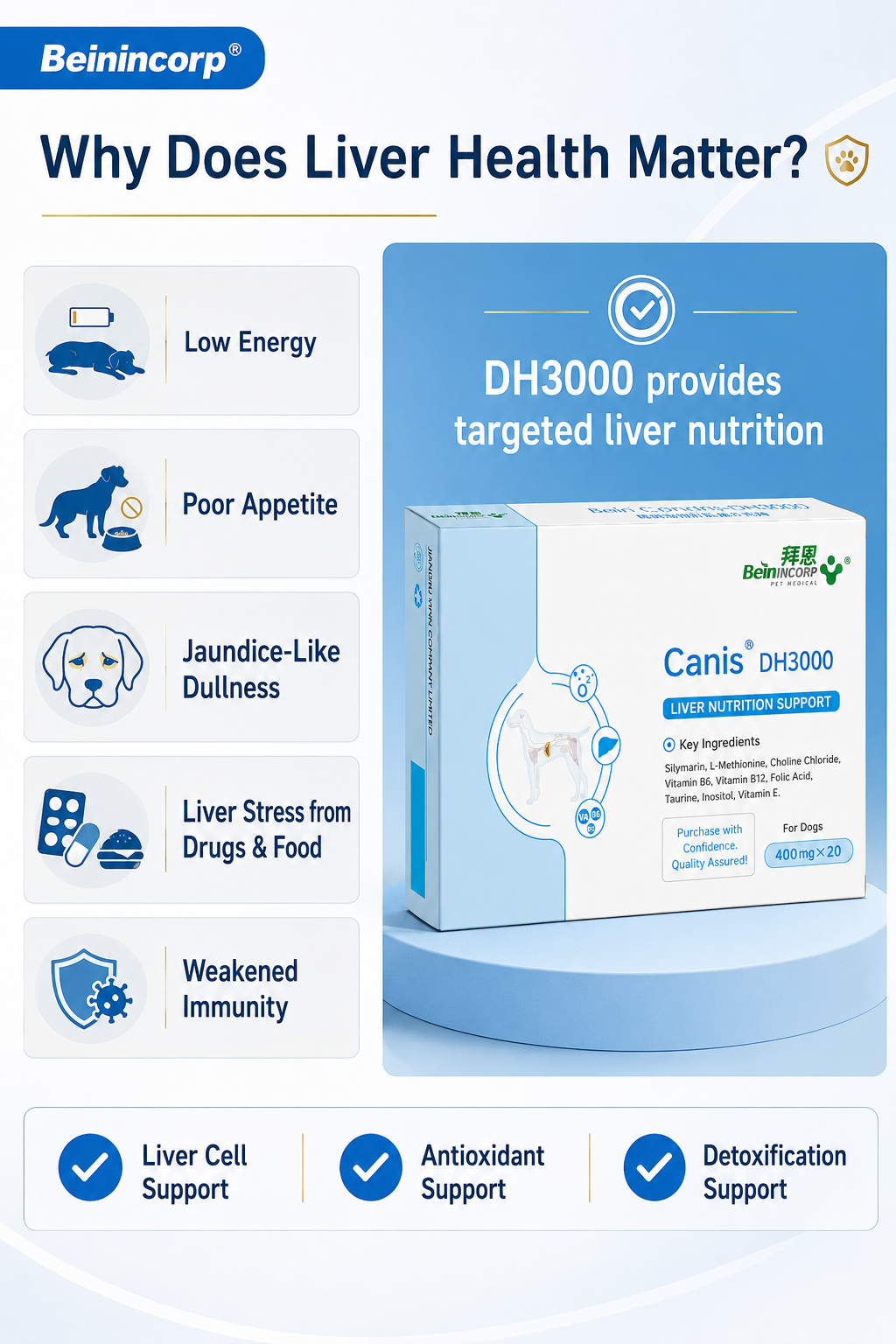 LANDCE DH3000 product detail 7