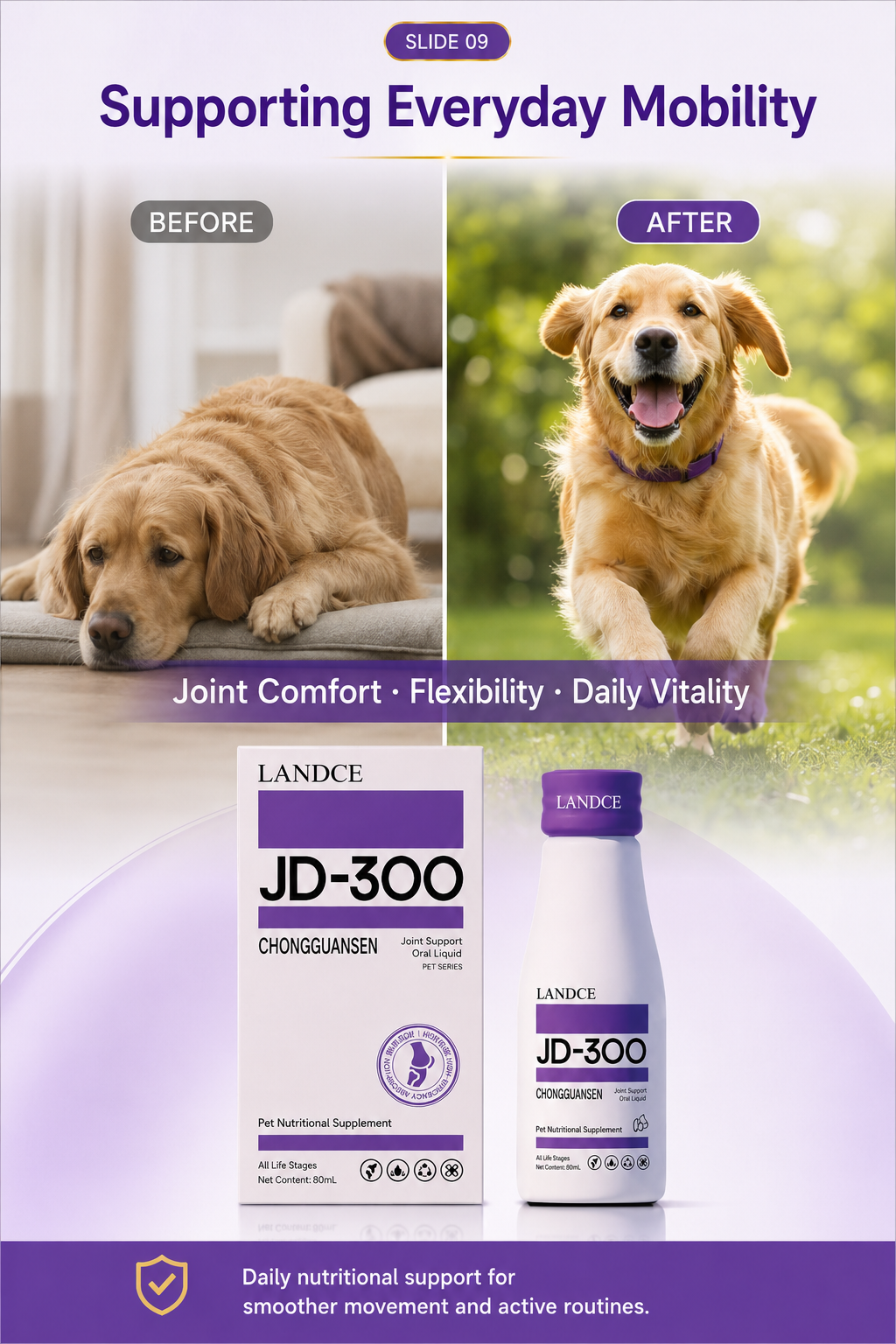 LANDCE JD-300 product detail 10