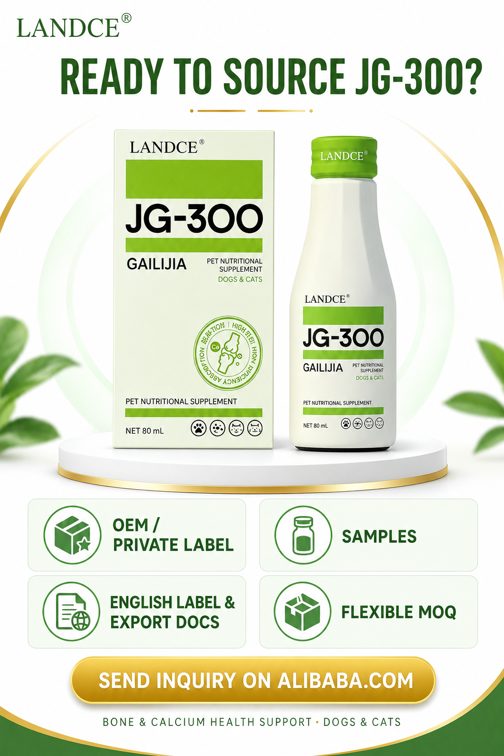 LANDCE JG-300 product detail 5