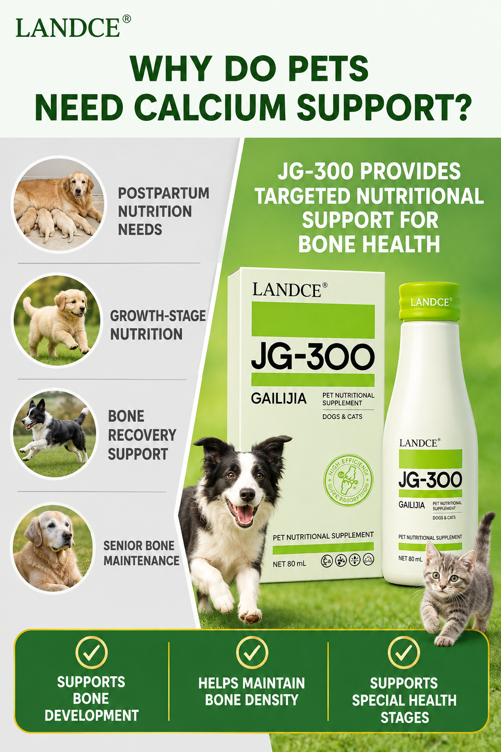 LANDCE JG-300 product detail 8