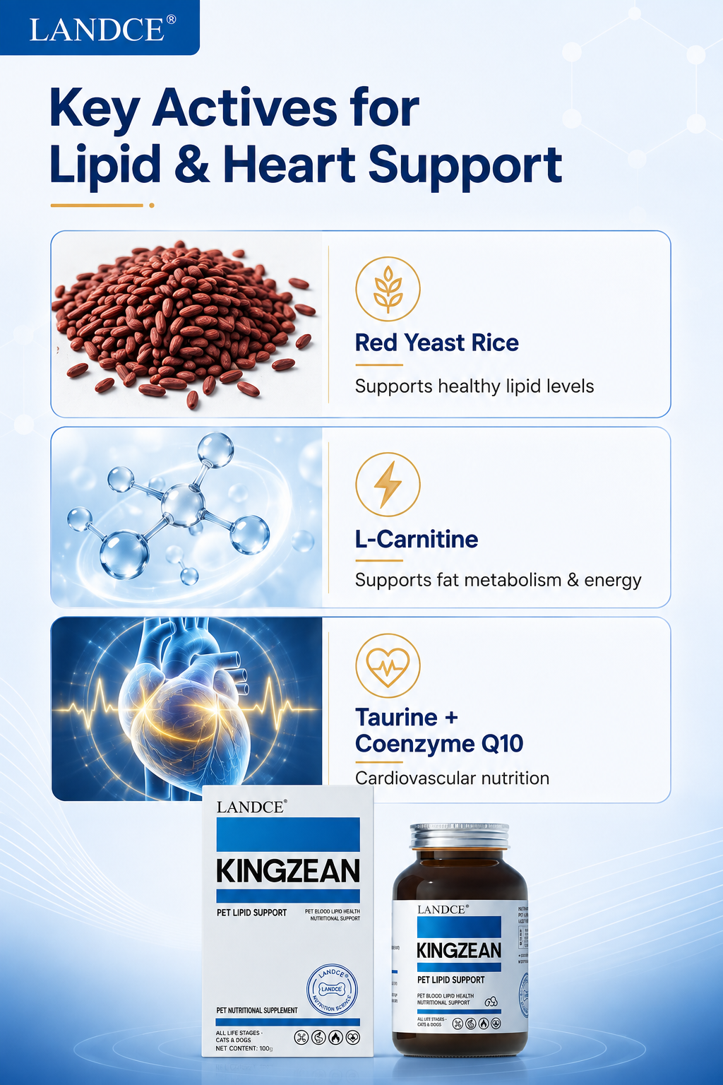 LANDCE KINGZEAN product detail 9