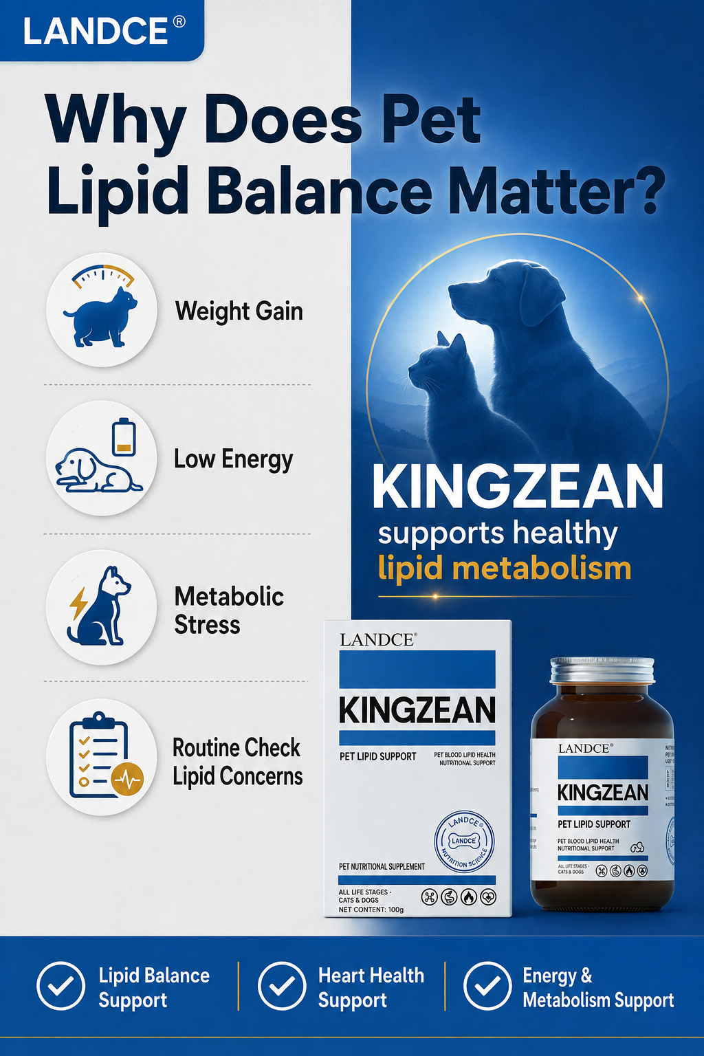 LANDCE KINGZEAN product detail 10