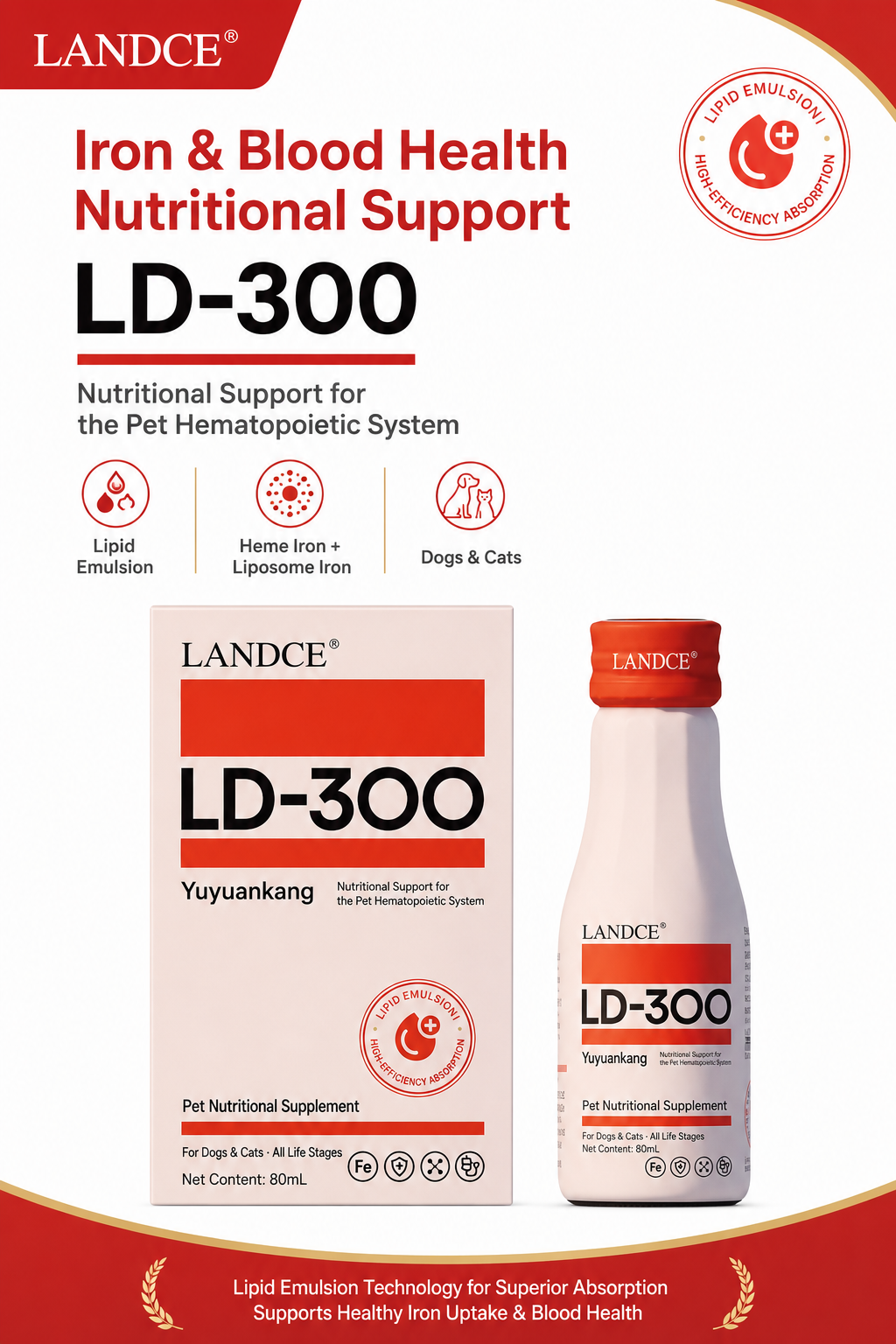 LANDCE LD-300 product detail 2