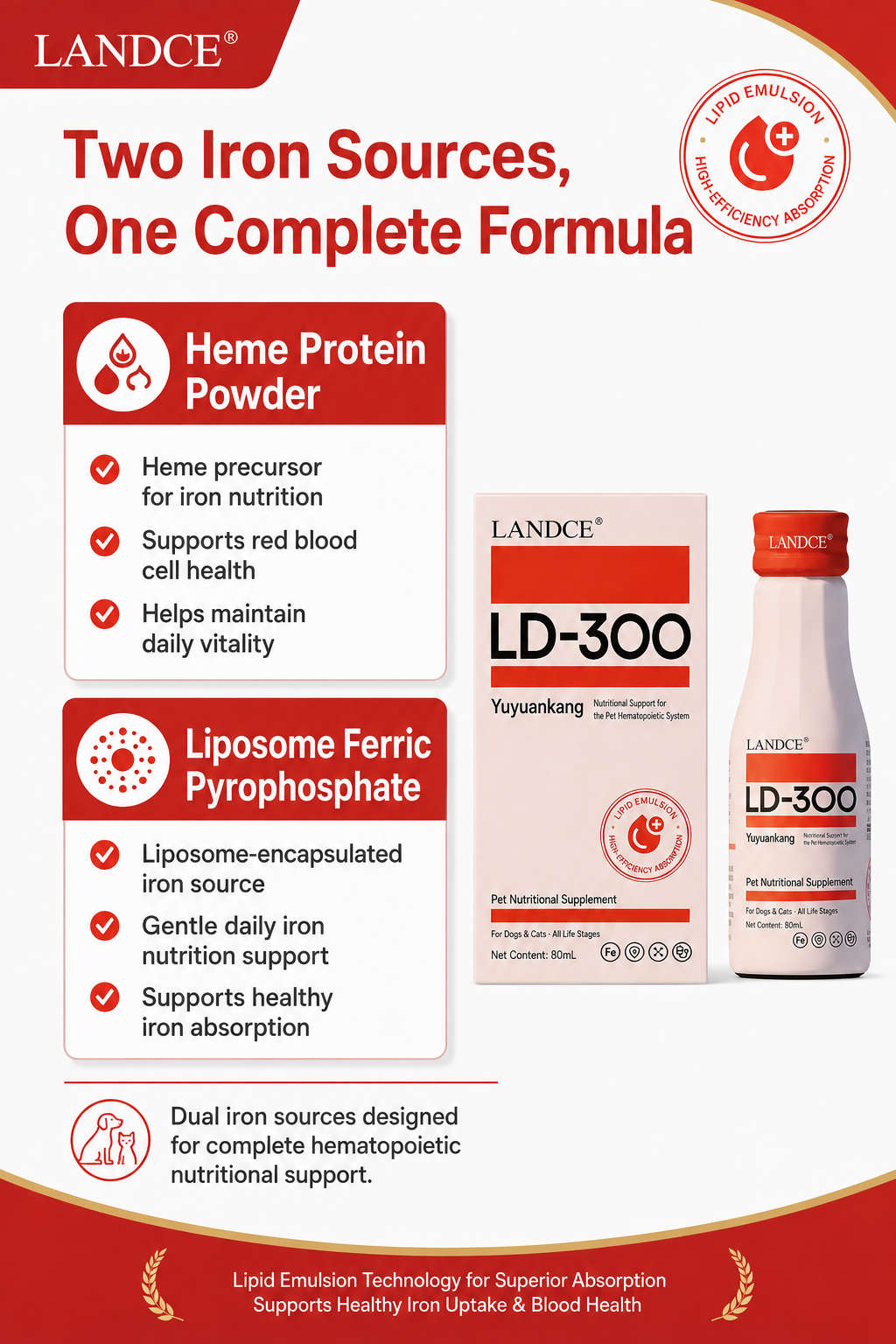 LANDCE LD-300 product detail 10
