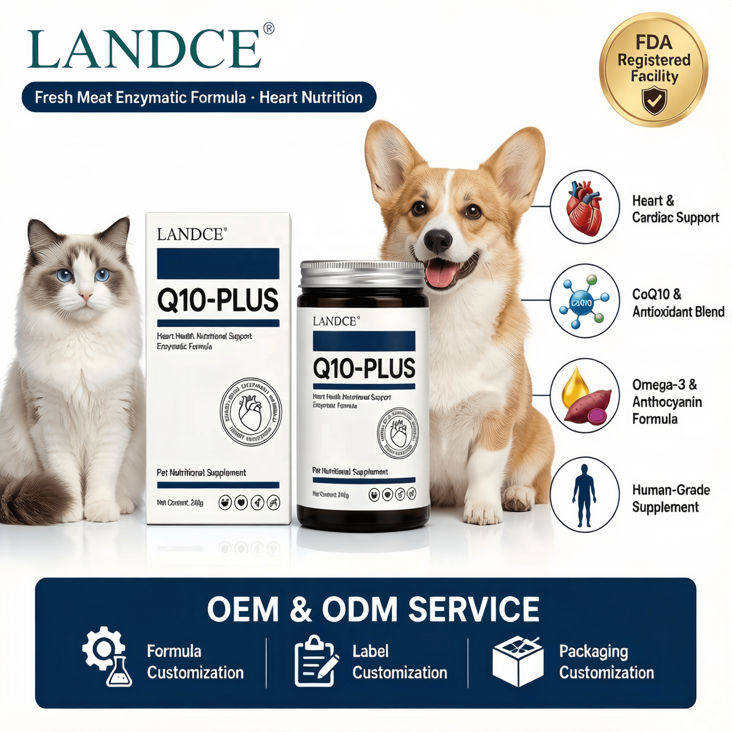 LANDCE Q10-PLUS coenzyme Q10 cardiac and metabolic support gel for dogs and cats