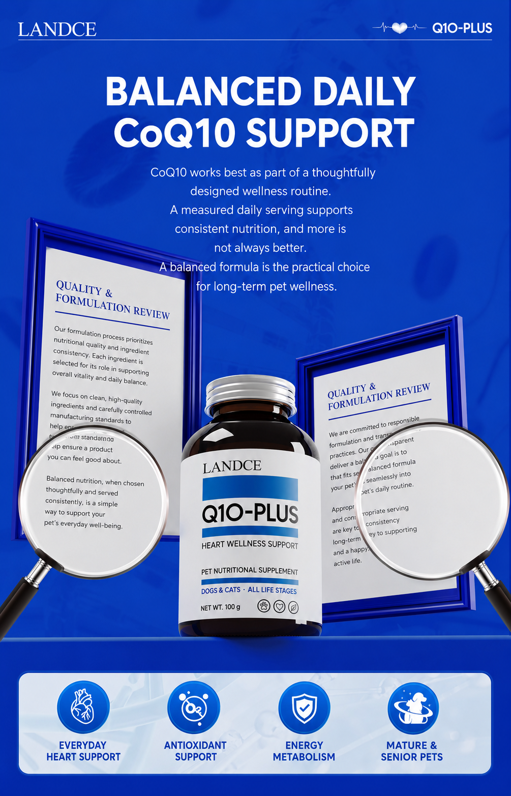 LANDCE Q10-PLUS product detail 6
