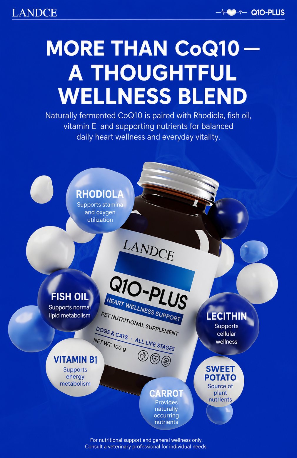 LANDCE Q10-PLUS product detail 8