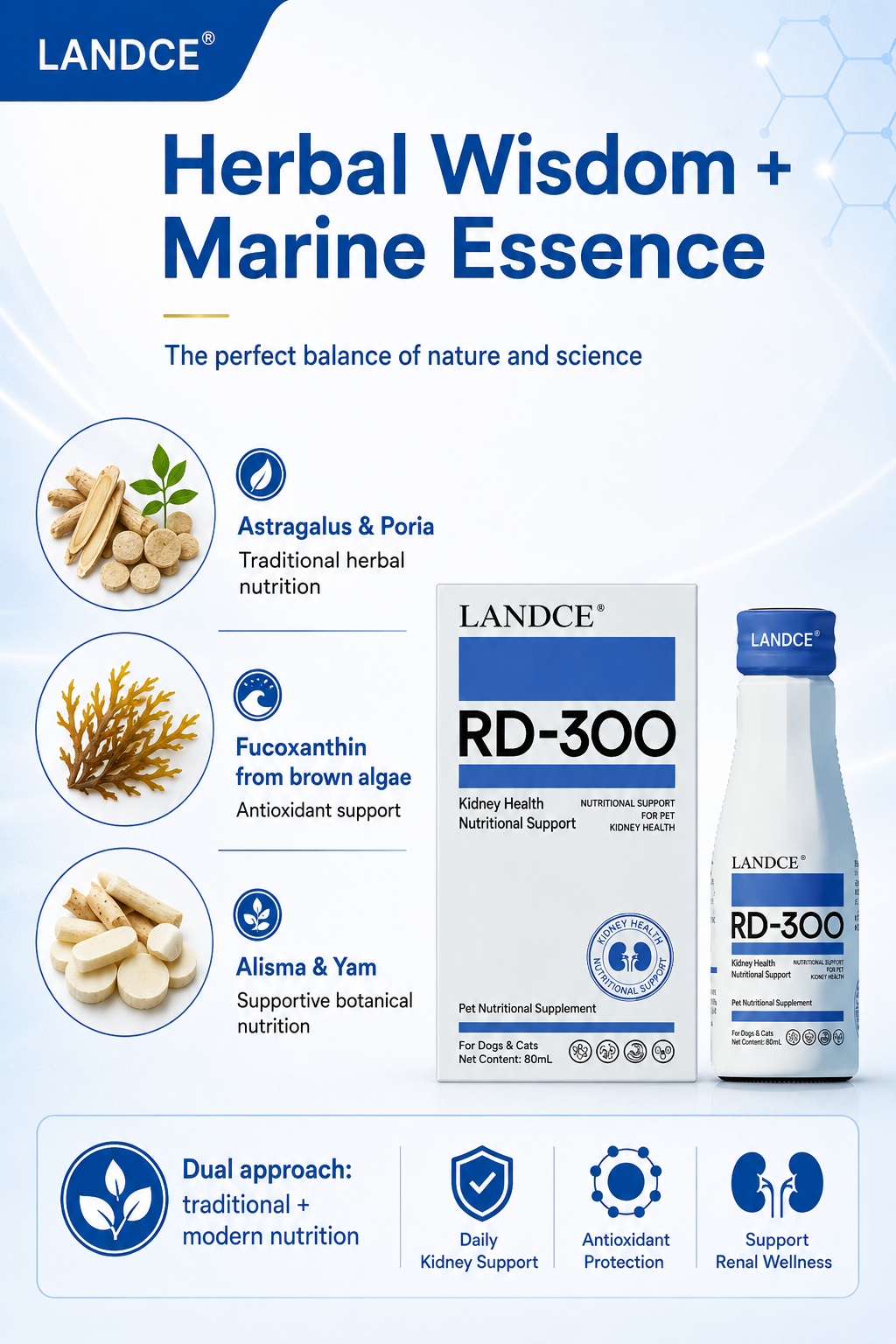 LANDCE RD-300 product detail 6